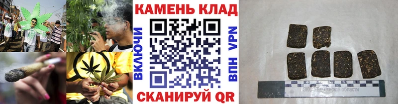 kraken tor Тейково Гашиш индика сатива