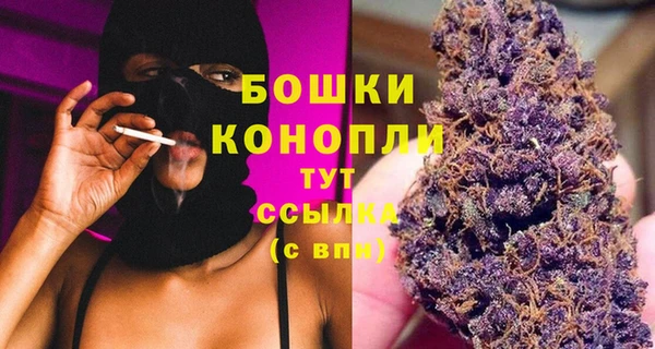 молекула духа Арсеньев