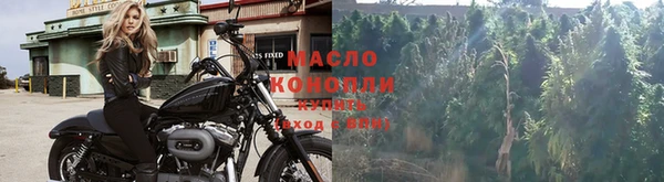 молекула духа Арсеньев