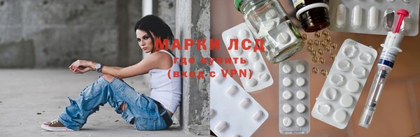 молекула духа Арсеньев
