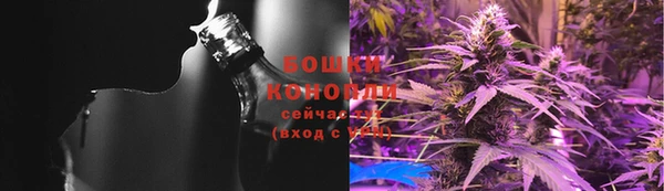 молекула духа Арсеньев