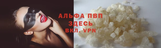 молекула духа Арсеньев
