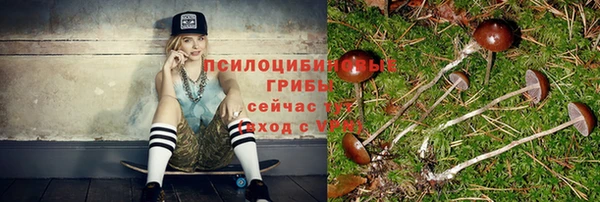 бошки Армянск