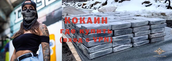 молекула духа Арсеньев