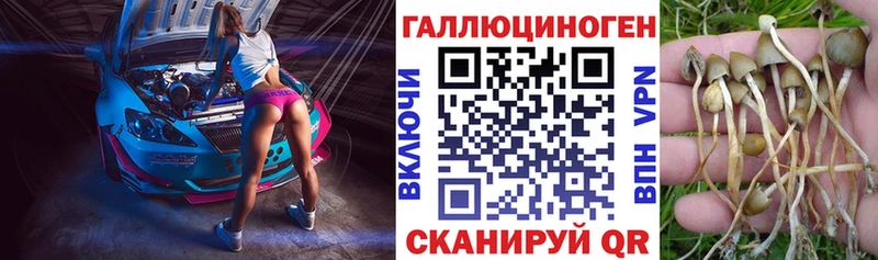 Галлюциногенные грибы MAGIC MUSHROOMS Тейково
